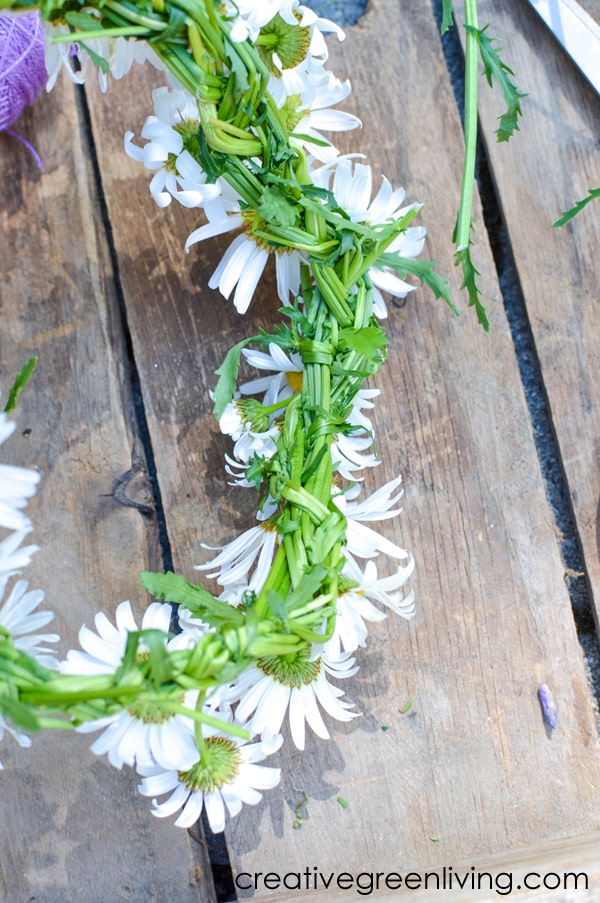 How to Make a Daisy Flower Crown with Real Flowers Creative Green Living
