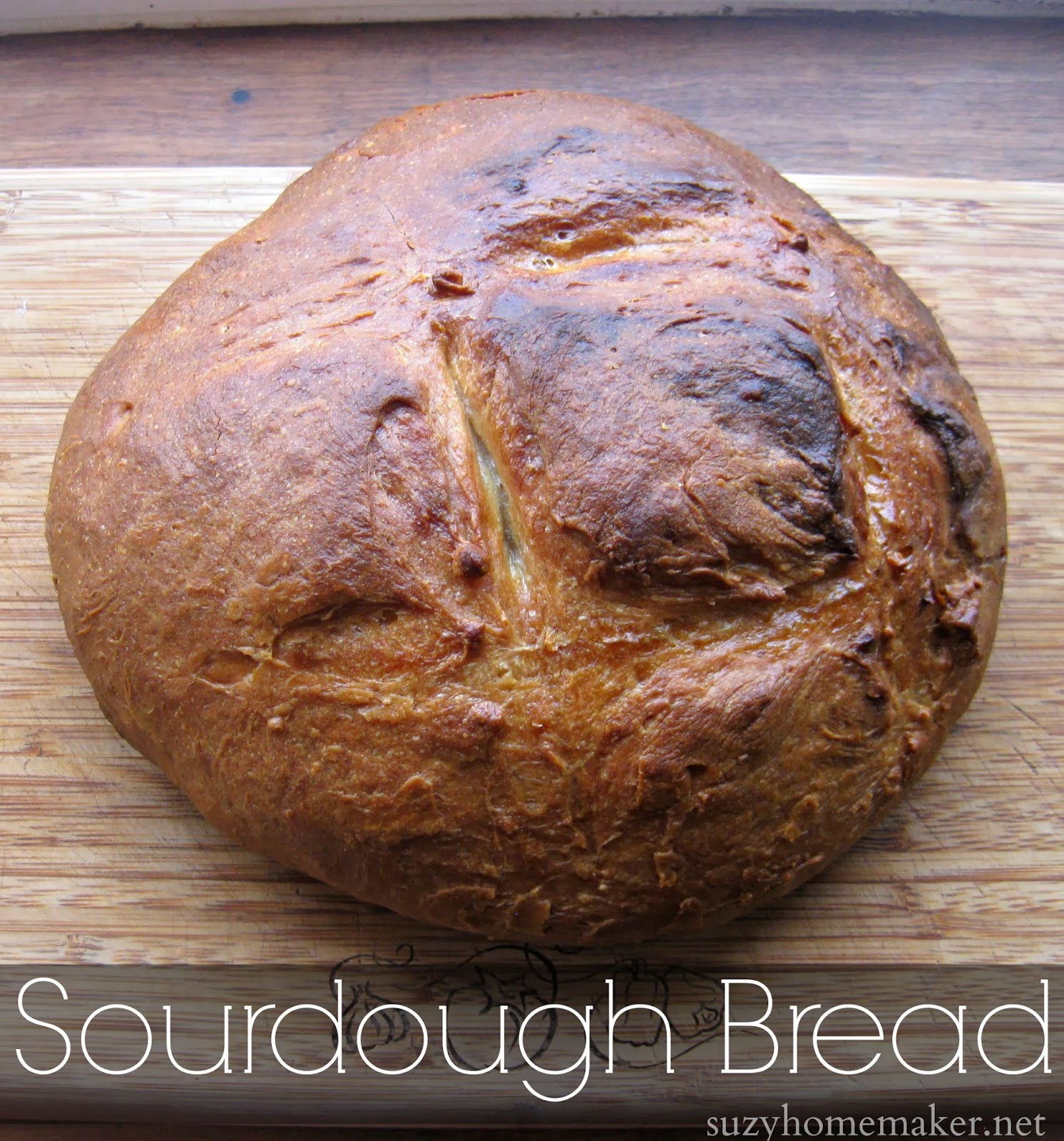 learning how to make sourdough suzyhomemaker