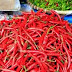 Ερευνα: Οι πιπεριές τσίλι «καίνε» τις πιθανότητες εμφράγματος ή εγκεφαλικού