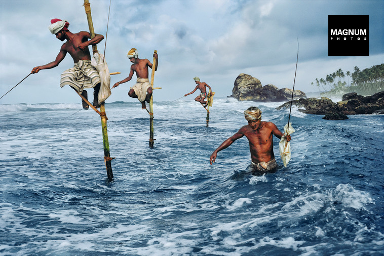 Stilt Fisherman in Weligama Sri Lanka Visit Weligama