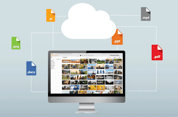 popular digital asset management tools popular digital asset management tools