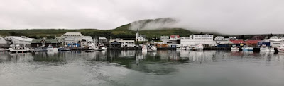 Húsavík, North Sailing, avistamiento de ballena, Islandia, Iceland.