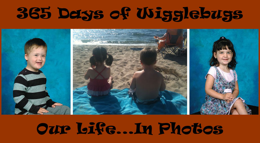 365 Days of My Wigglebugs