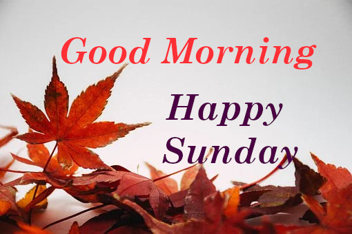 Top 10 Happy Sunday Good Morning Images, Greetings, Pictures Whatsapp ...
