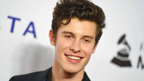 Biodata Shawn Mendes Terbaru | Profil, Biografi, Fakta, Foto, Album