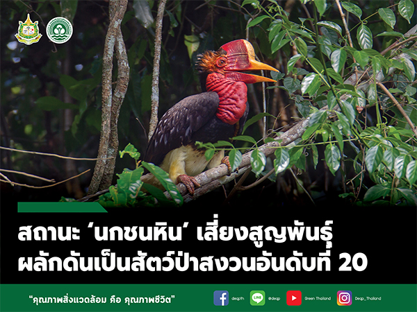 11_%25E0%25B8%259A%25E0%25B8%2597%25E0%2