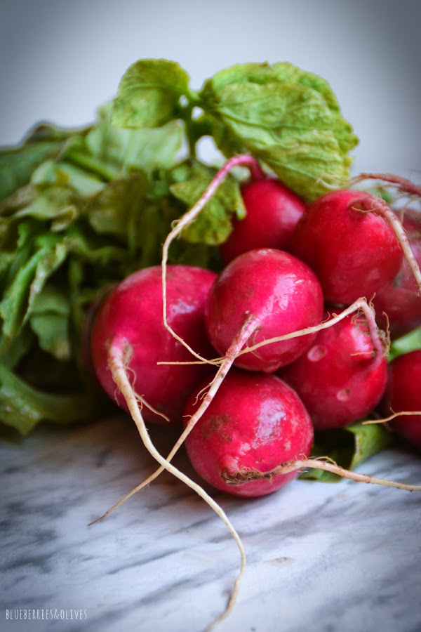 MANOJO DE RABANOS FRESCOS