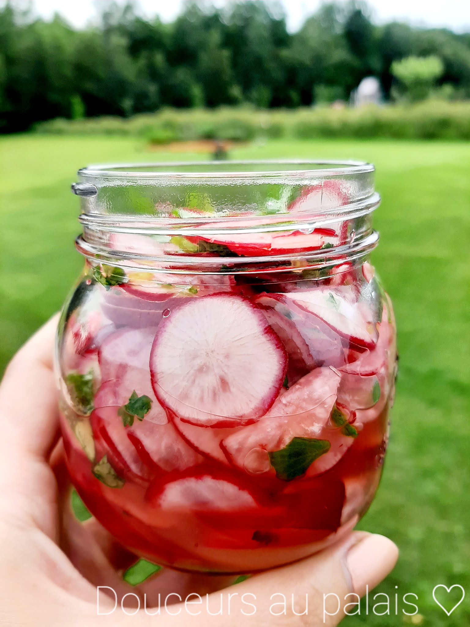 Pickles de radis express