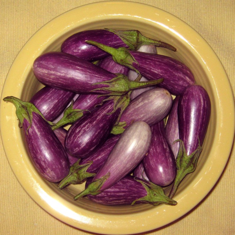 Ramblings Of A Heretic Housewife Garden to Table Roasted Fairy Tale