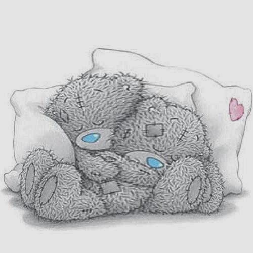 Ositos Durmiendo Juntos Imagui