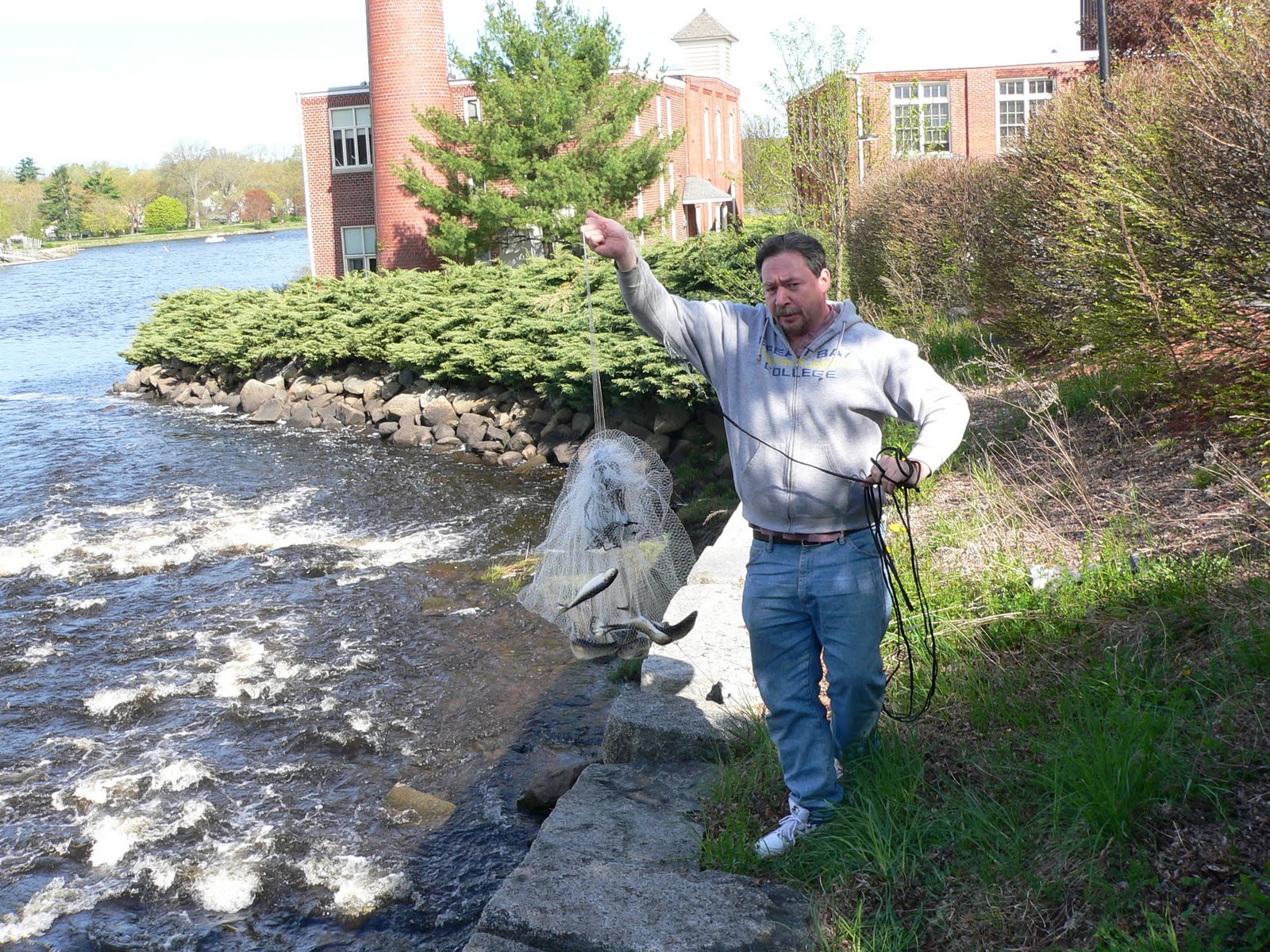 CatchMAll Bonus Fish River Herring