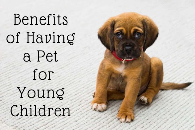 Benefits of Having a Pet for Young Children