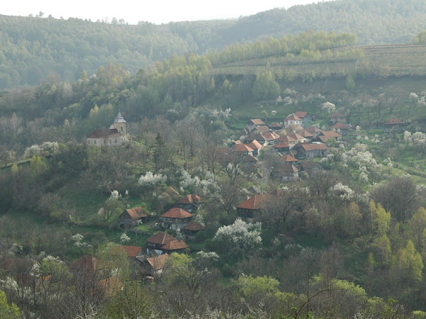 Sat Sohodol  - Comuna Lelese