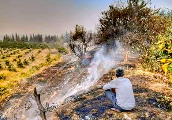 صور حريق سوريا اليوم