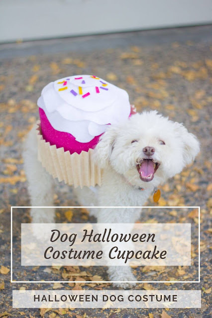 Dog Halloween Costume Cupcake