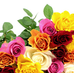 BANCO DE IMÁGENES: Las fotos más hermosas de rosas de