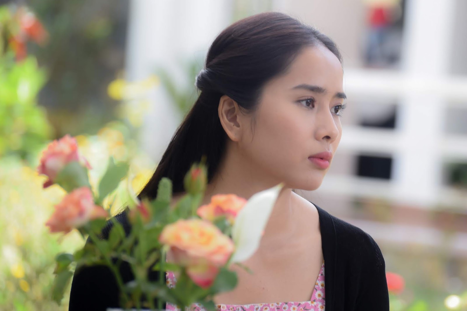 Nước Mắt Loài Cỏ Dại