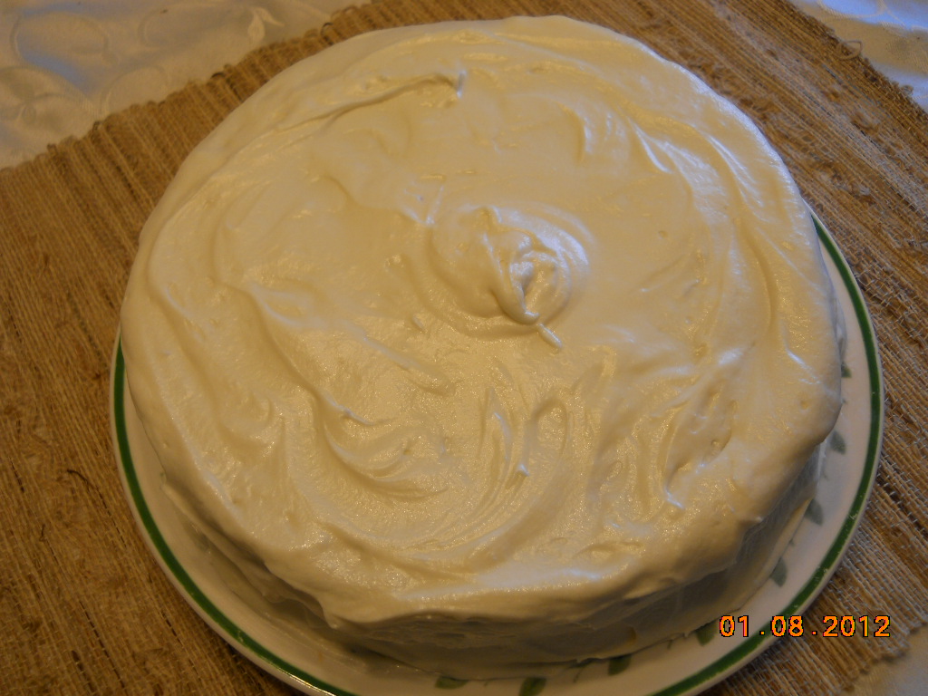 Recipes for Judys' Foodies Chocolate & Yogurt Cake Frosted with