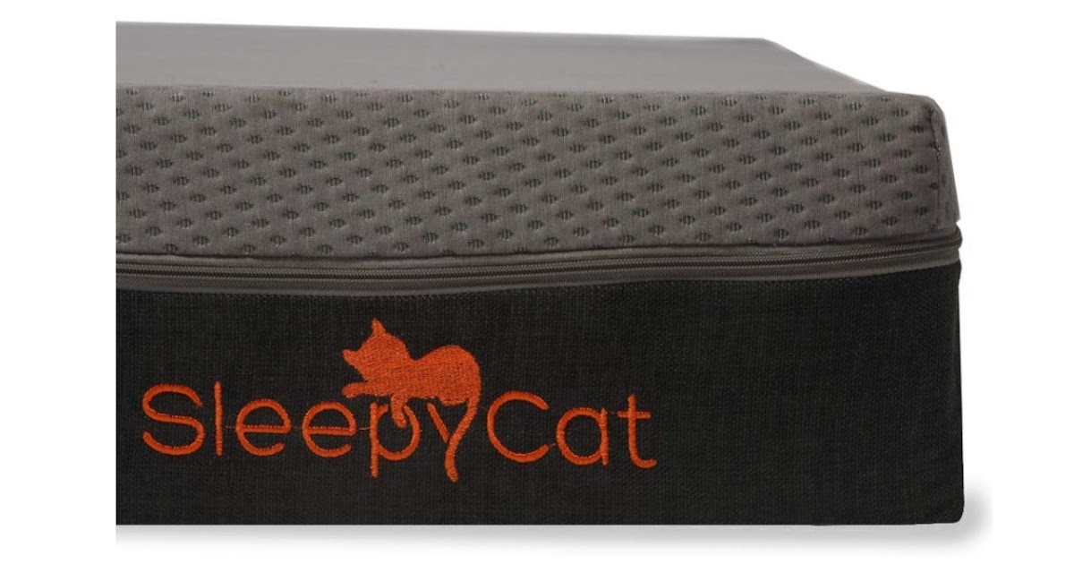 Gadget Review Best Mattress for back pain in India SleepyCat Latex 7 Inch Latex Queen Size