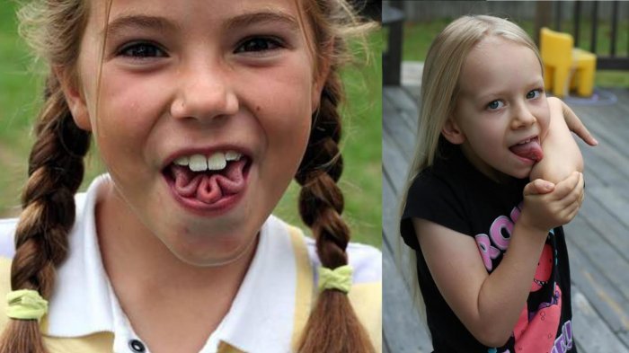 сложенный язык