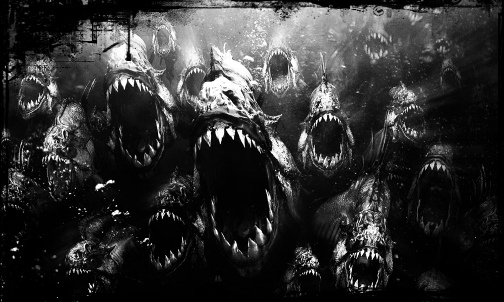 Ramalan Mimpi Ikan Salmon Lengkap Erek Erek 2d 3d 4d