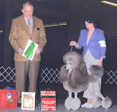Best in Specialty Show Best Bred By Exhibitor
