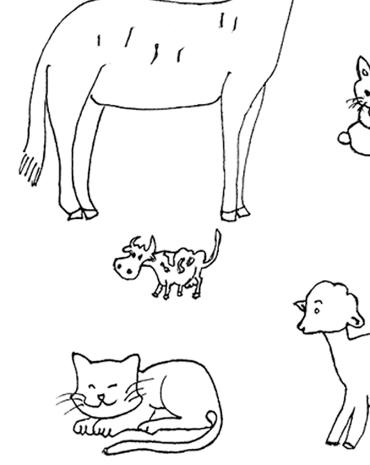 Imagenes De Animales Oviparos Y Viviparos Para Pintar - vdbosjes