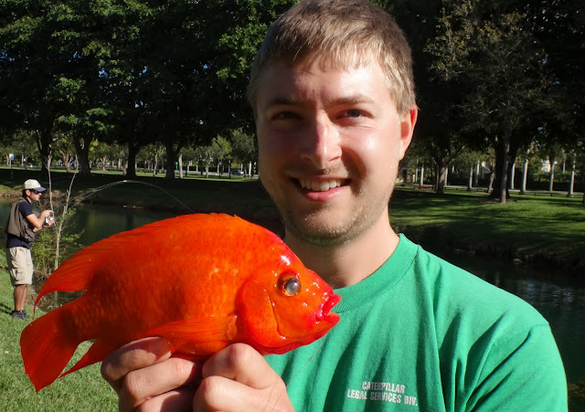 Ben Cantrell s fish species blog FL shameless lifelisting 