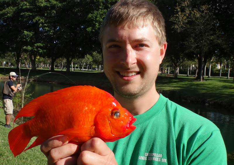 Ben Cantrell s fish species blog FL shameless lifelisting 
