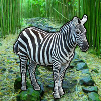 WowEscape Save the Zebra …