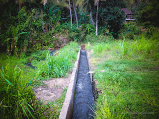 Natural Countryside Environment With Small Water Stream Channel Among The Meadows Titab Ularan North Bali Indonesia