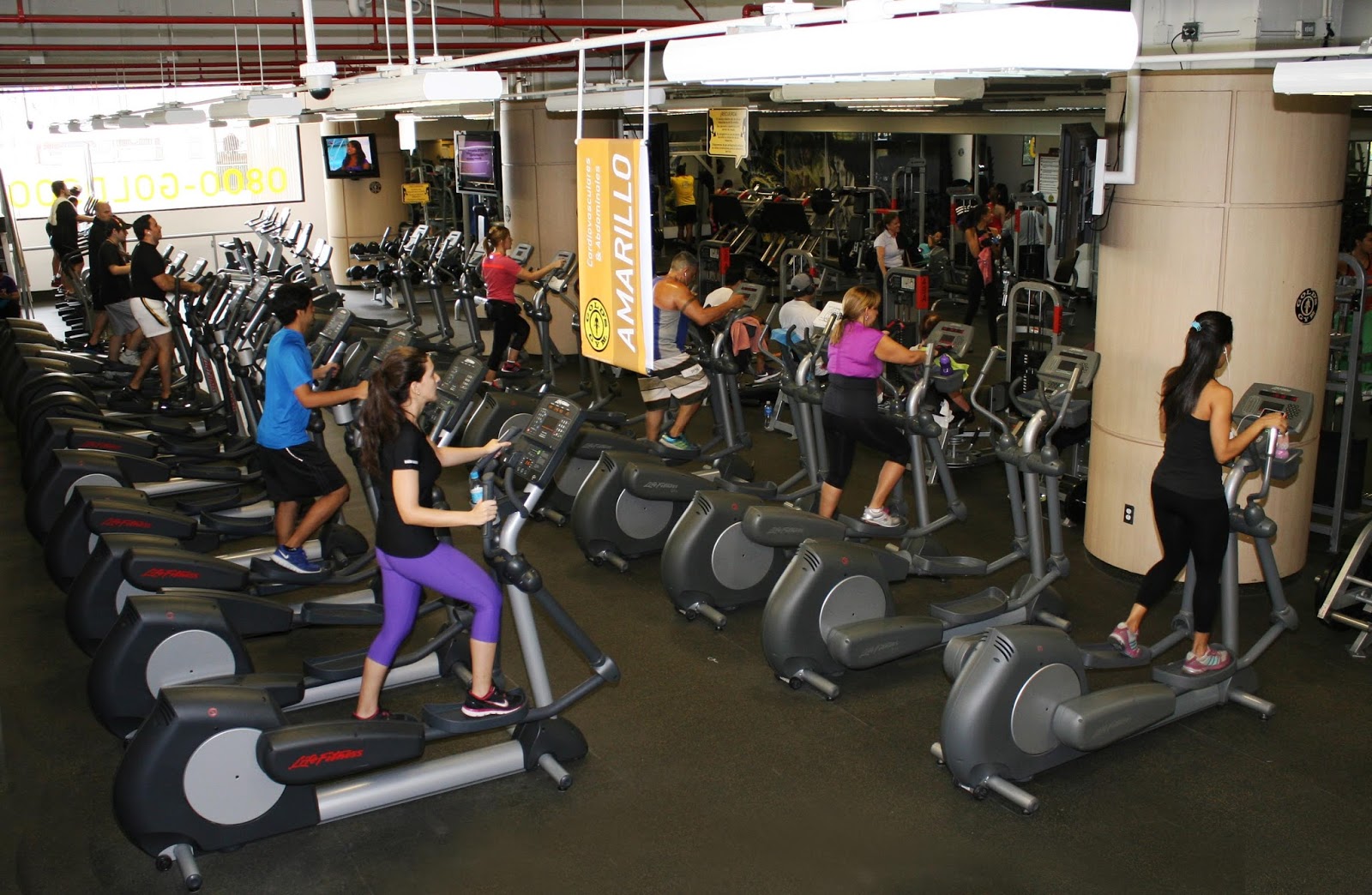 Golds Gym: agosto 2013