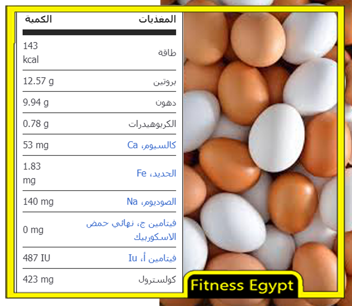 من انواع البروتين الحيواني؟