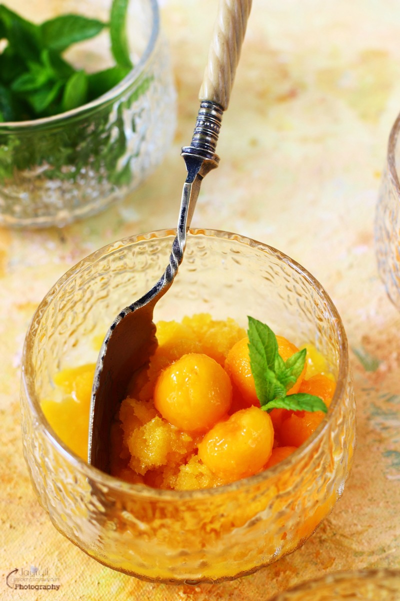 Tropical Fruit Granita with Ginger and Honey Jagruti's Cooking Odyssey