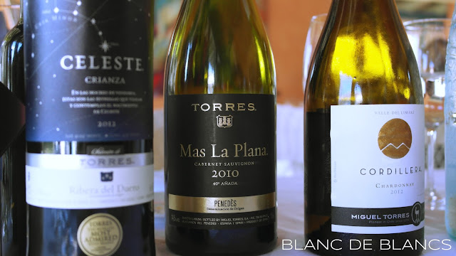 Torres viinit - www.blancdeblancs.fi