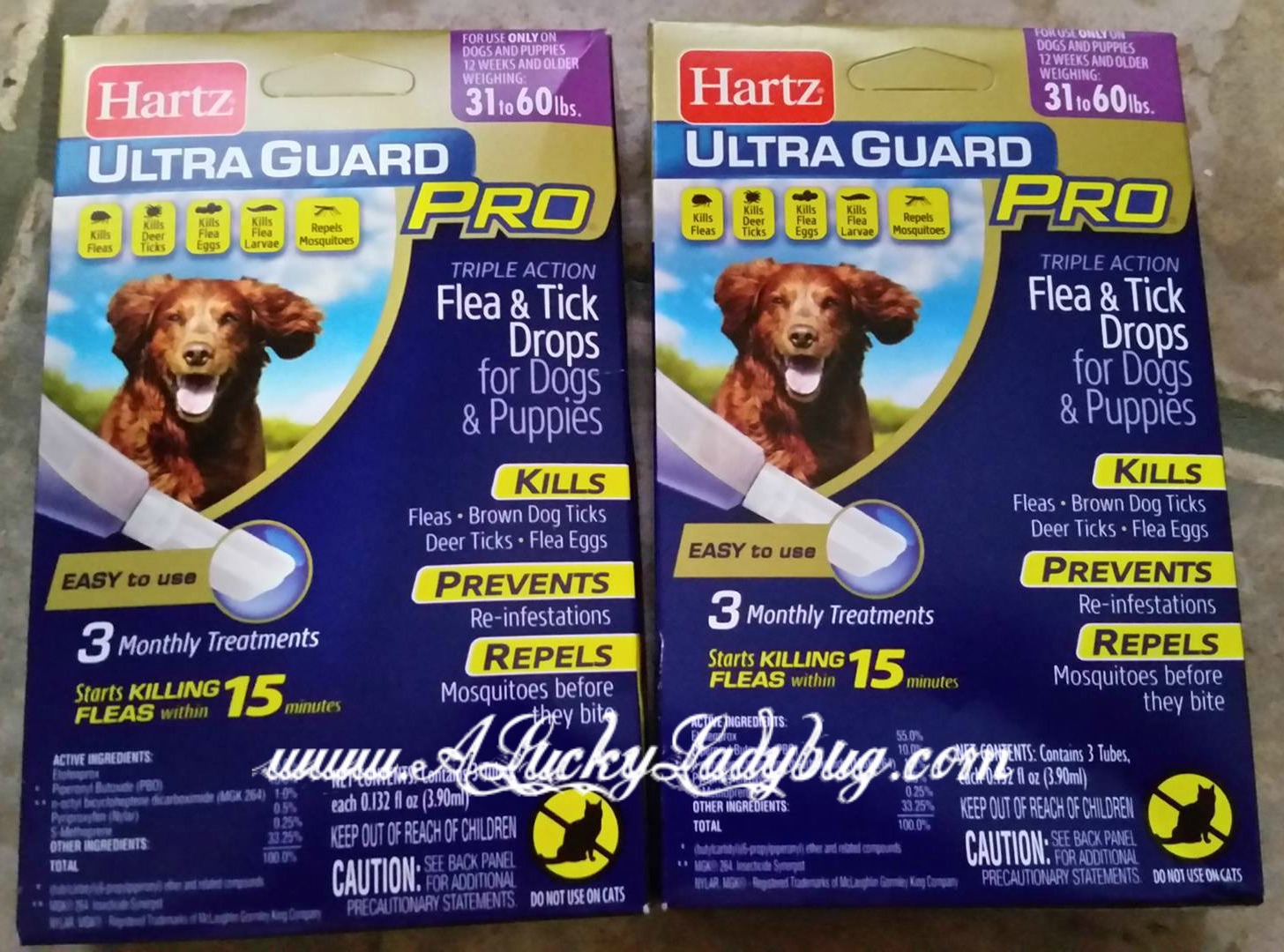 A Lucky Ladybug Hartz Pet Products