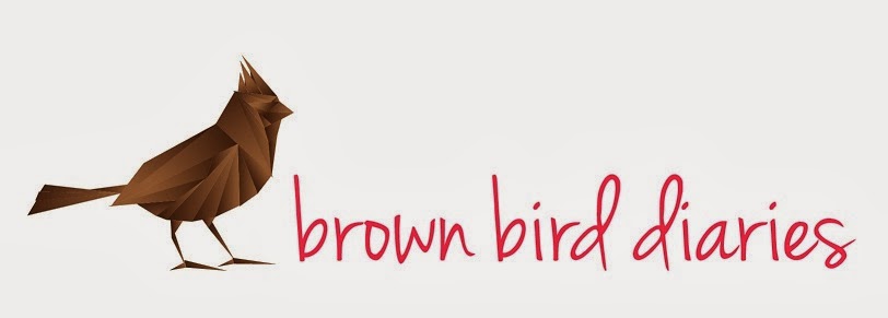 Brown Bird Diaries