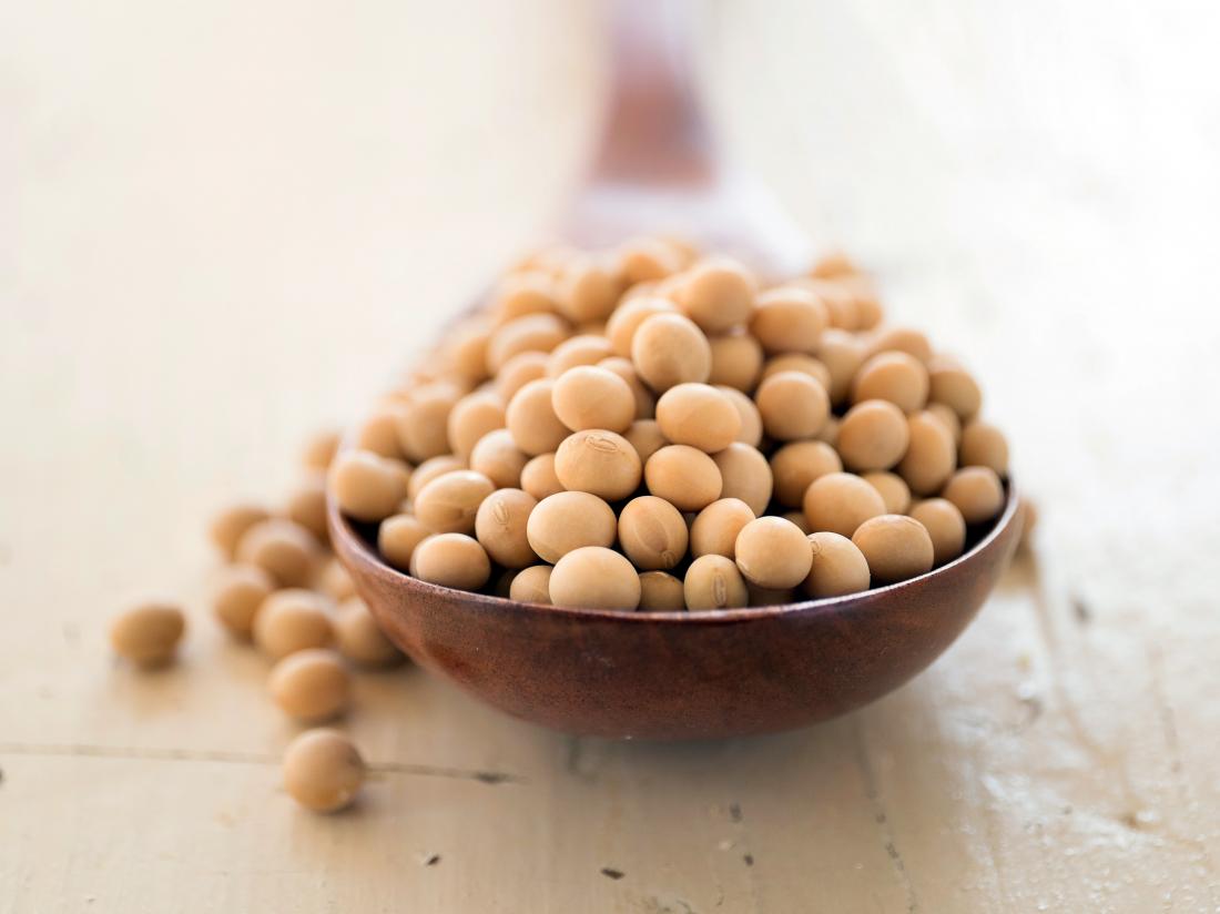 soy to reduces cholesterol
