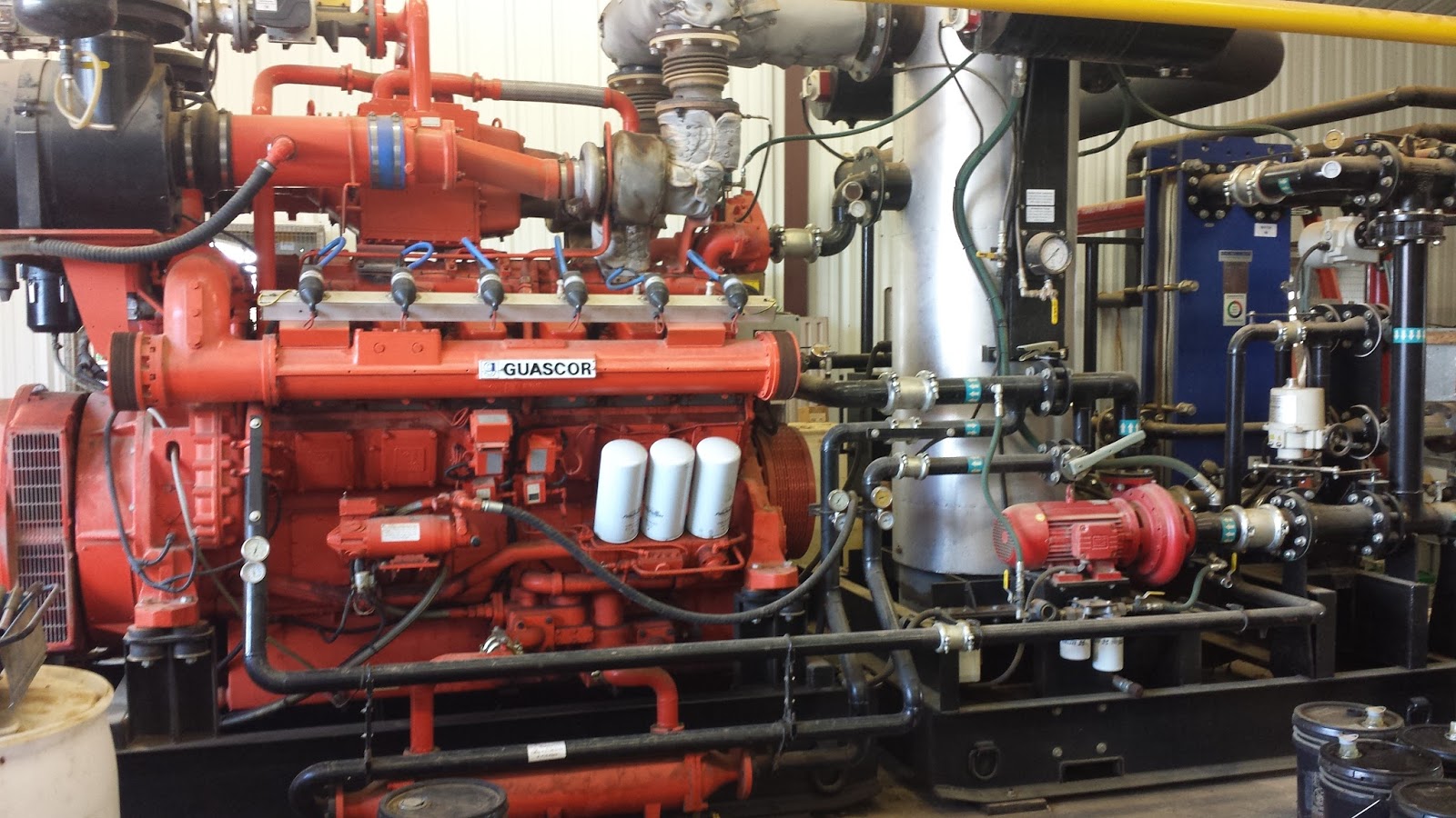 Spencer's Ferrum Agriculture Eterm Blog Week 1 Day 4