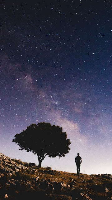 Galaxy, Galaxy, Tree, Starry Sky, Night
