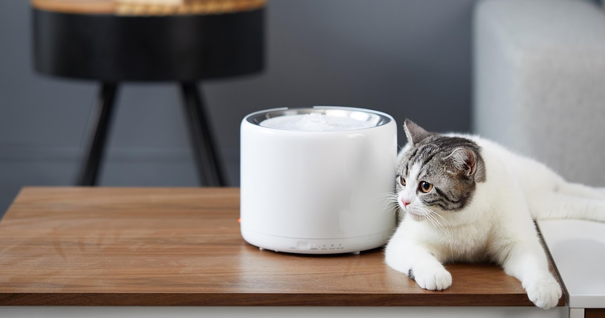 Pet Supplies Online Pet Supplies Australia Advantages Of Buying Pet