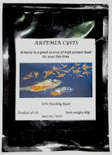 ARTEMIA CYST