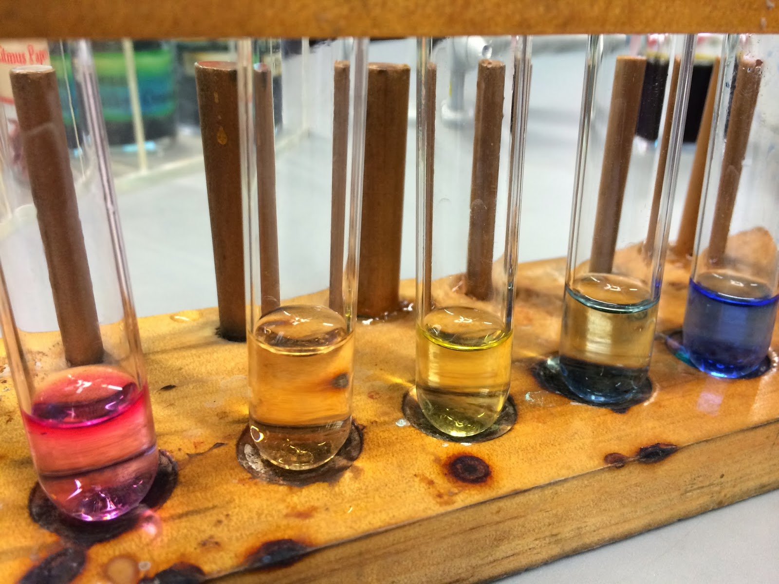 Biology Journal Practical 1 Beetroot experiment