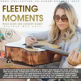 folder - VA.-Fleeting Moment Dream Blues Compilation