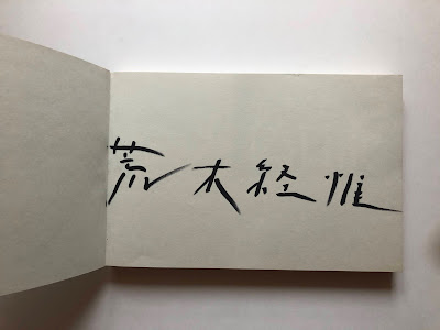 Pseudo Diary by Nobuyoshi Araki | Donlon Books