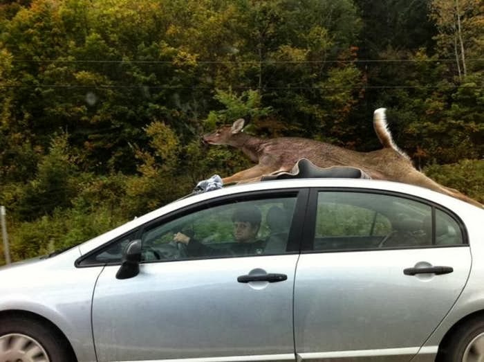 Picdump-Ritemail_024.jpg