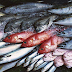 Consuming These 8 Types of Fishes Can Lead to Food Poisoning and May Harm Your Health