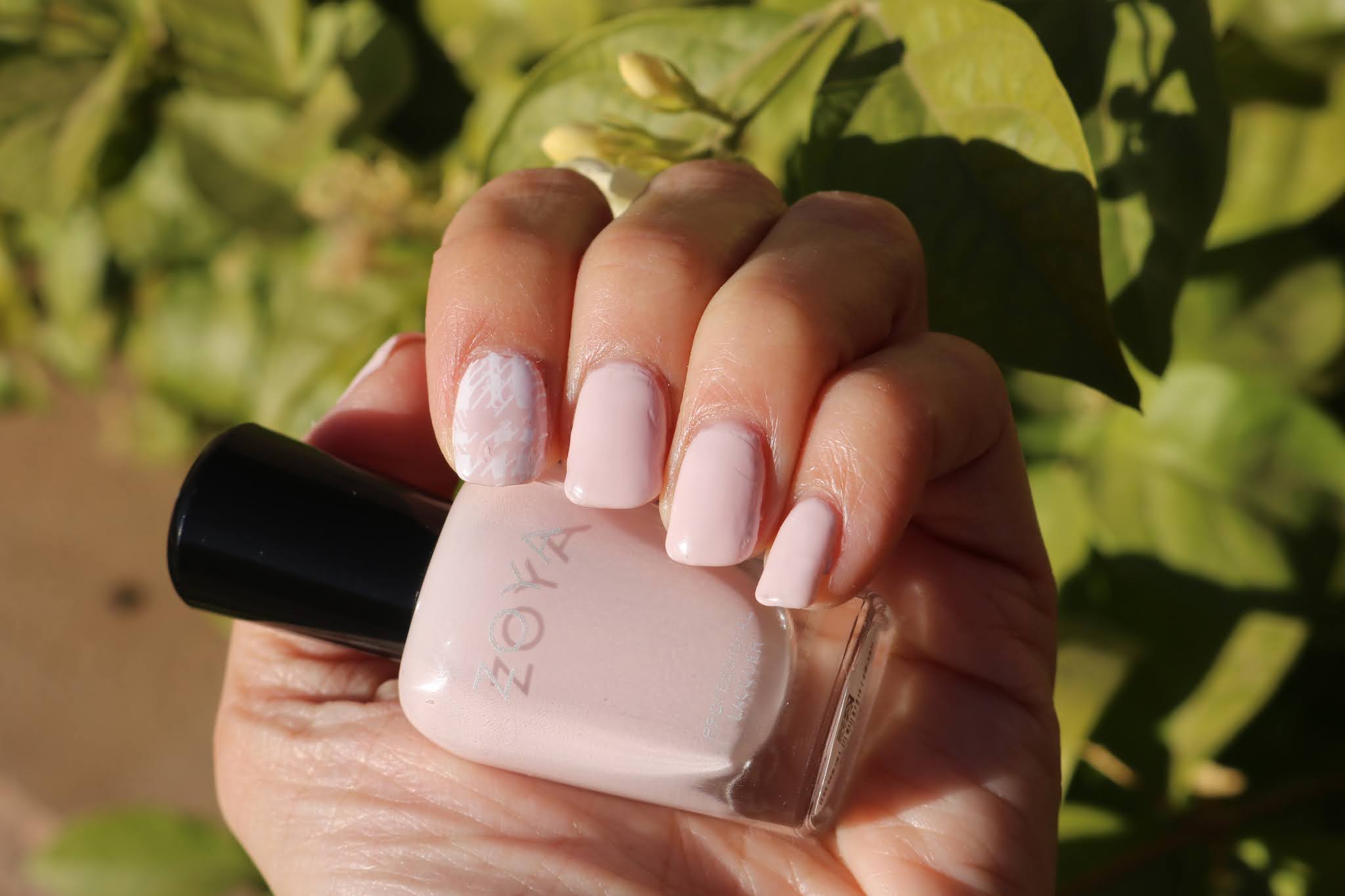 Zoya Evelyn Zoya Evelyn