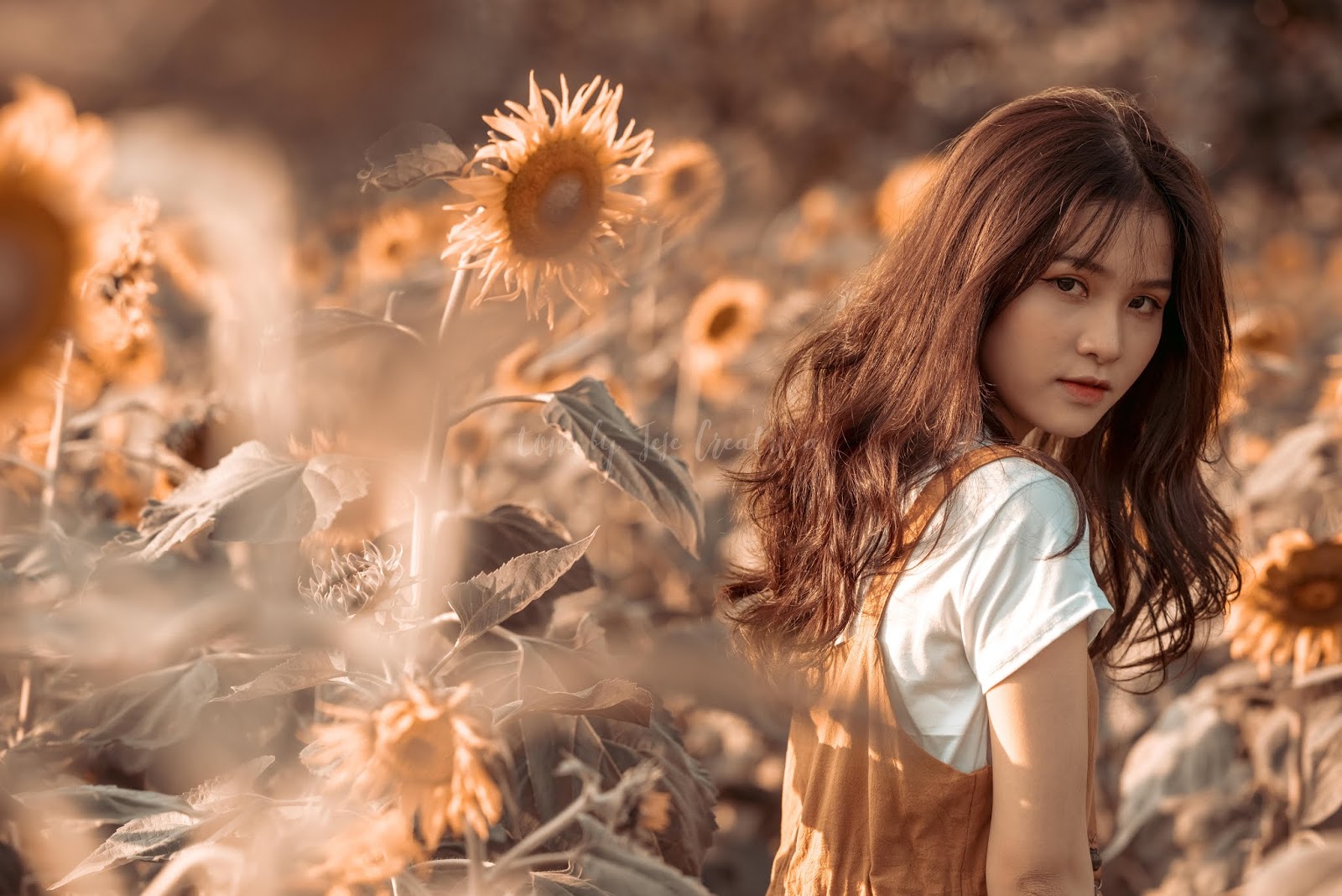 пресет xiaomi. винтажные пресеты для лайтрума. пресет xiaomi. смартфон будущего. пресеты.