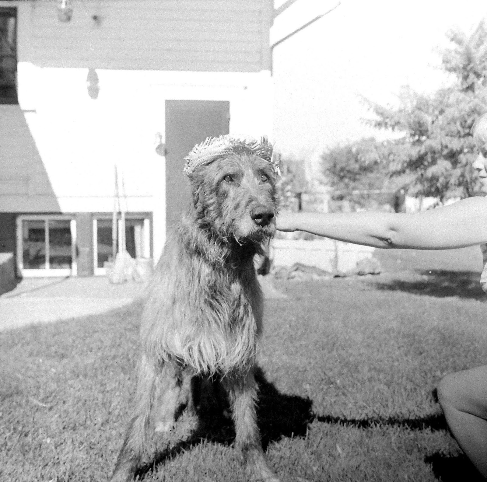 Bygone Walla Walla vintage images of the City and County (and beyond